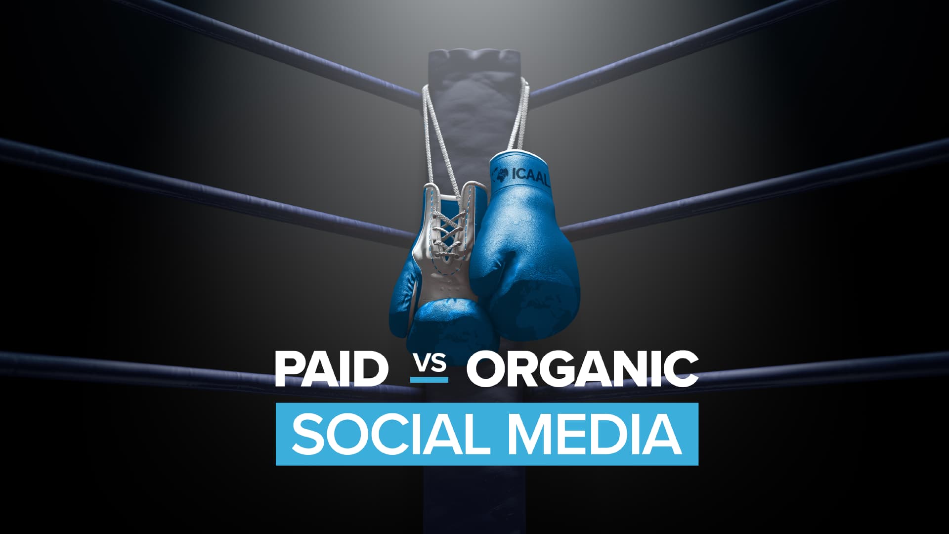 Paid vs Organic Social Media – Which is Right For You?